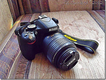 03 Nikon D5100 Yarnell AZ (1024x768)