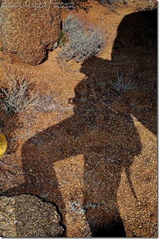 01a Gaelyn's shadow leaning against a rock Weaver Mts Yarnell AZ (678x1024)