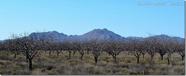 07a Orchard along Deer Creek rd AZ (1024x414)