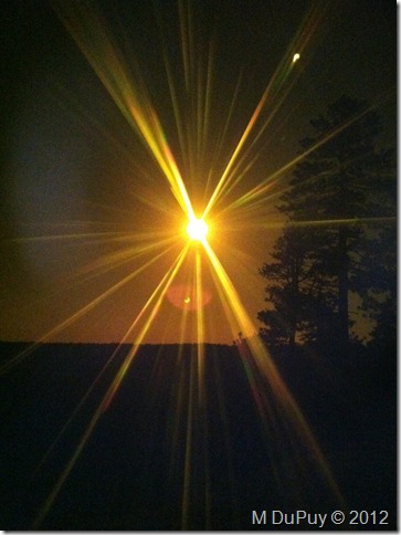 05 Annular solar eclipse through welders filter NR GRCA NP AZ by Mike's iphone (765x1024)