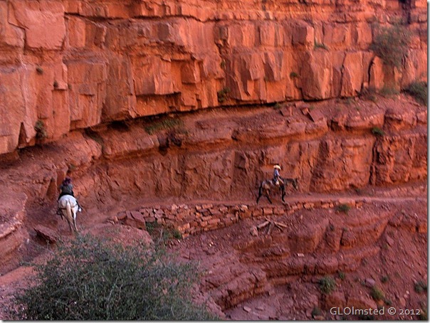 06e Diane & Lisa on mules Roaring Springs Canyon GRCA AZ (1024x768) (1024x768)