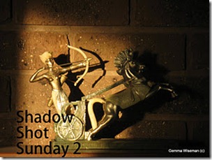Shadow Shot Sunday 2 meme