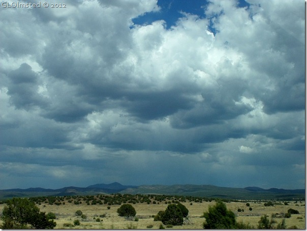 01e Rain clouds build east of Ashfork from SR89 S AZ (1024x768)