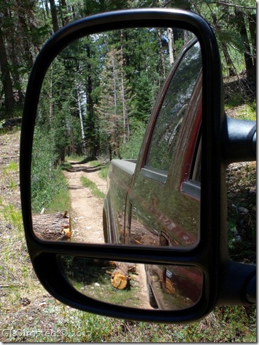 02 Side mirror view of log by truck Point Sublime Rd NR GRCA NP AZ (768x1024)