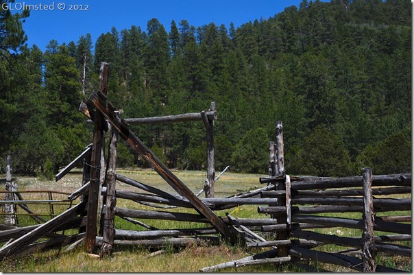 03e Old fence by Riggs Spring Lookout Canyon FR226 Kaibab NF AZ (1024x678)