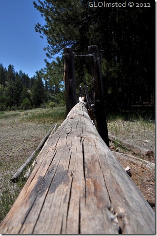 04e Fence rail by Riggs Spring Lookout Canyon FR226 Kaibab NF AZ (678x1024)