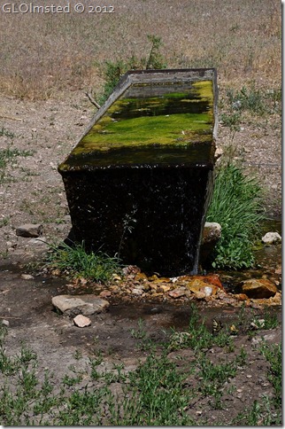 09e Water trough for Riggs Spring Lookout Canyon FR226 Kaibab NF AZ (678x1024)