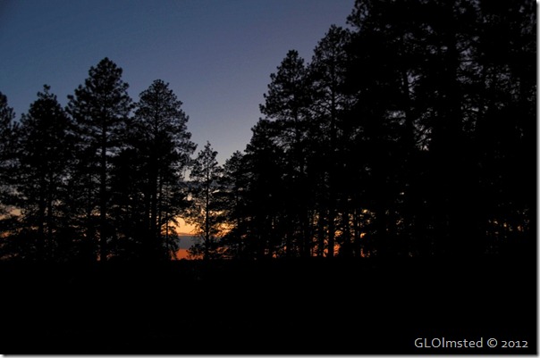 13 Sunset through the pines NR GRCA NP AZ (1024x678)