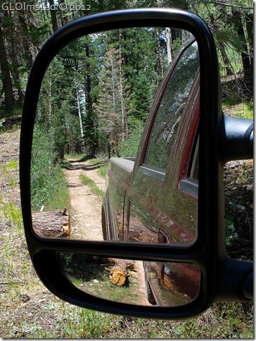 02 Side mirror view of log by truck Point Sublime Rd NR GRCA NP AZ (768x1024)