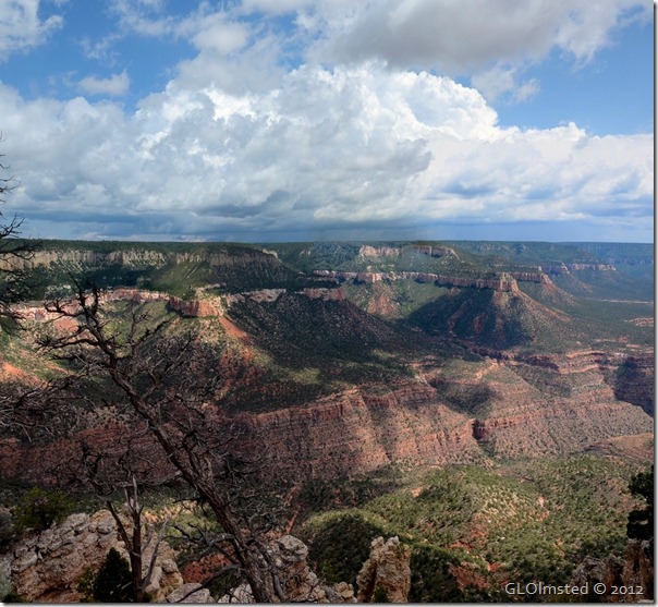 06 Stormy view SE from Crazy Jug Pt Kaibab NF AZ (1024x943)