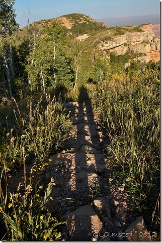 01 Gaelyn's shadow on Saddle Mt trail Kaibab NF AZ (678x1024)
