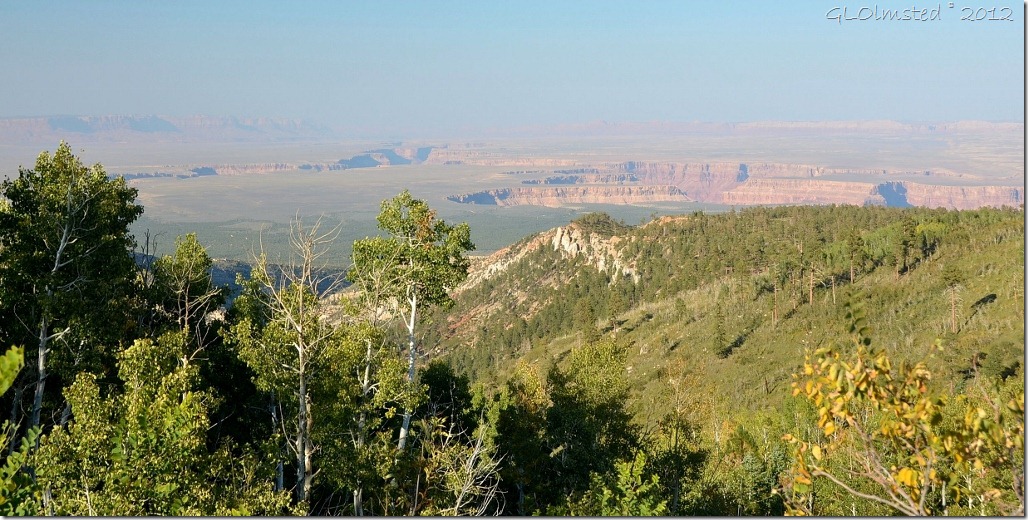03 NE view of Colorado R & Vermilion Cliffs from Saddle Mt trailhead Kaibab NF AZ (1024x516)