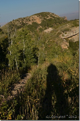 05 Gaelyn's shadow by Saddle Mt trail Kaibab NF AZ (678x1024)