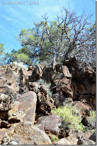 03 Nampaweap Rock Art Site BLM AZ (678x1024)