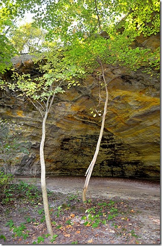 07 Council overhang from Kaskaskia & Ottawa Canyons trail Starve Rock State Park IL pano (669x1024)