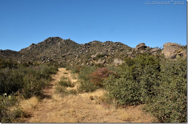 01 86 Two-track trail Weaver Mts Yarnell AZ (1024x678)