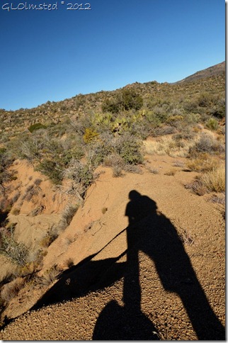 03 Gaelyn's shadow Weaver Mts Yarnell AZ (678x1024)