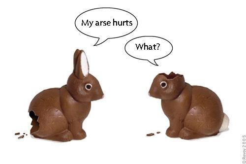 partially eaten chocolate bunnies