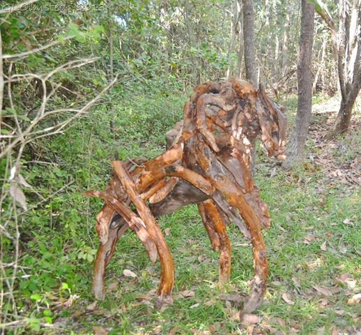 Driftwood art along Big Tree trail Wild Spirit Nature's Valley SA