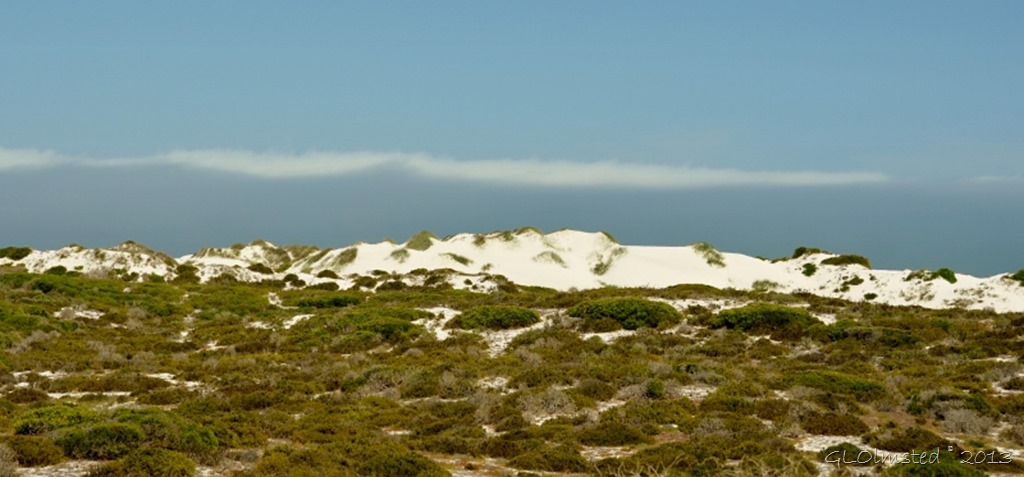 Sand dunes West Coast NP SA