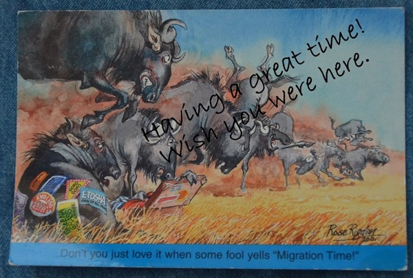 Funny postcard from SA