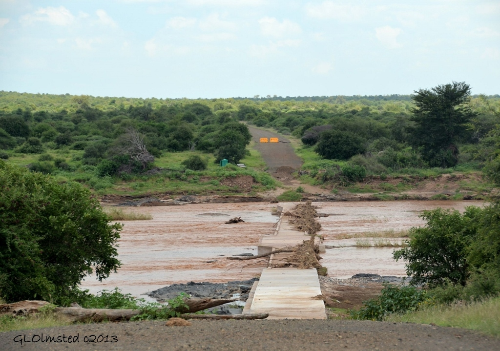 Closed bridge over Olifants River Kruger NP SA