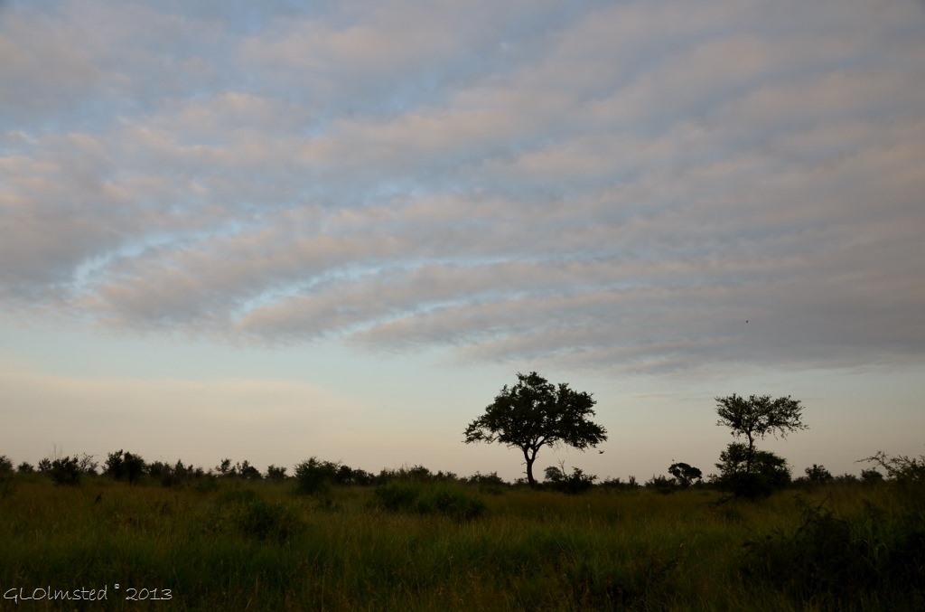 Sunrise Kruger NP SA