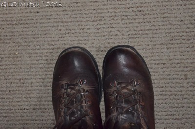 Polished boots