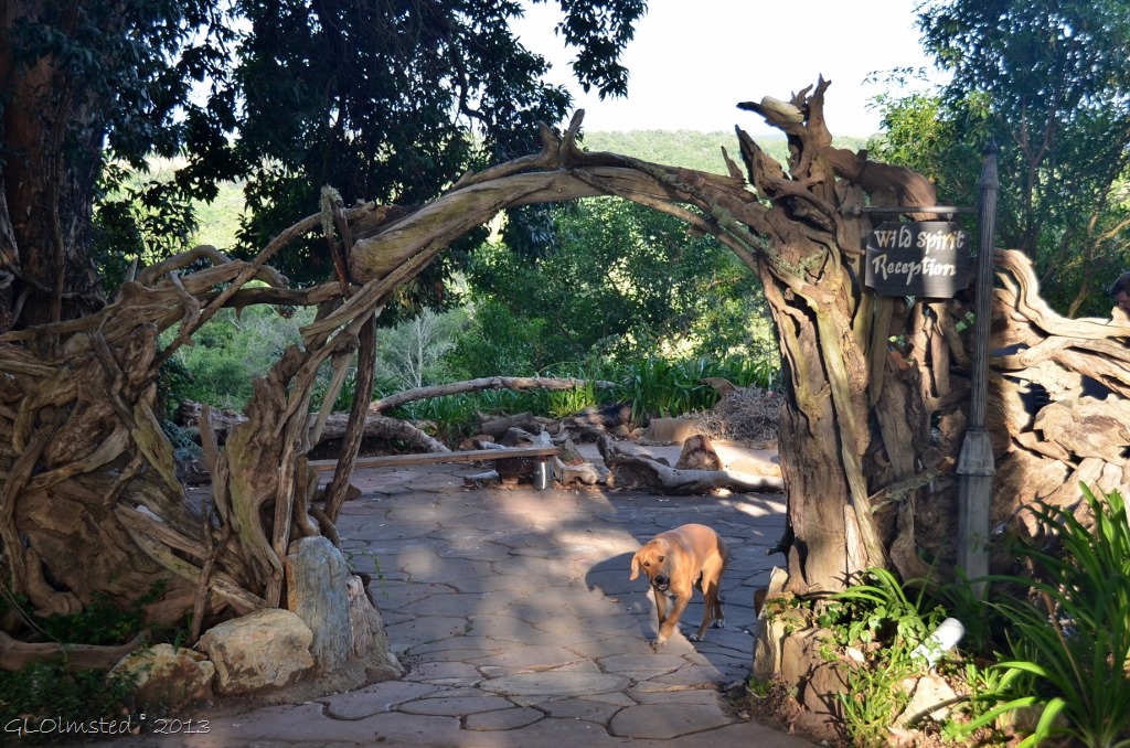Driftwood entrance at Wild Spirit Backpackers Lodge Nature's Valley South Africa