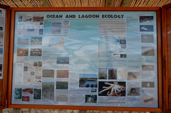 Sign for ocean & lagoon ecology of West Coast National Park South Africa