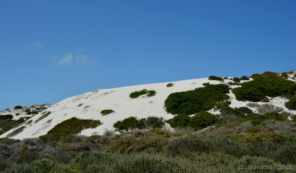 Sand dunes along the Atlantic Ocean West Coast National Park Langebaan South Africa