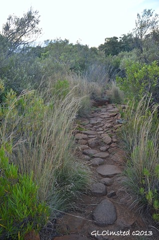 Trail Camdeboo National Park Eastern Cape Graaff-Reinet South Africa