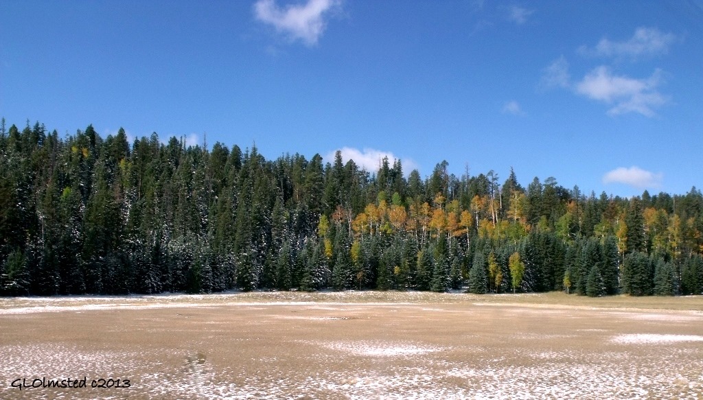 Snow & fall colors Kaibab National Forest Arizona