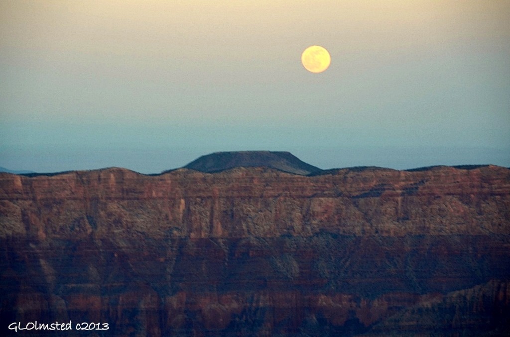 Full moon rising over Cedar Mountain from Cape Royal North Rim Grand Canyon National Park Arizona