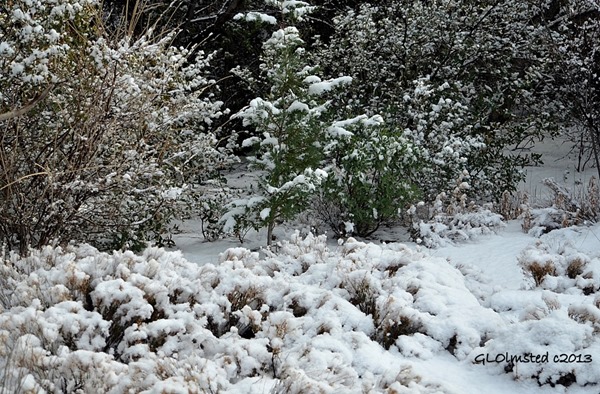 Snowy landscape Yarnell Arizona