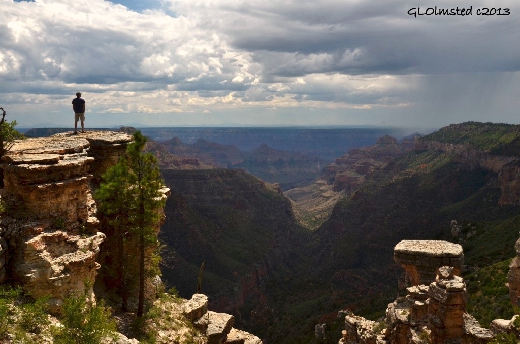 Crystal Creek overlook North Rim Grand Canyon National Park Arizona