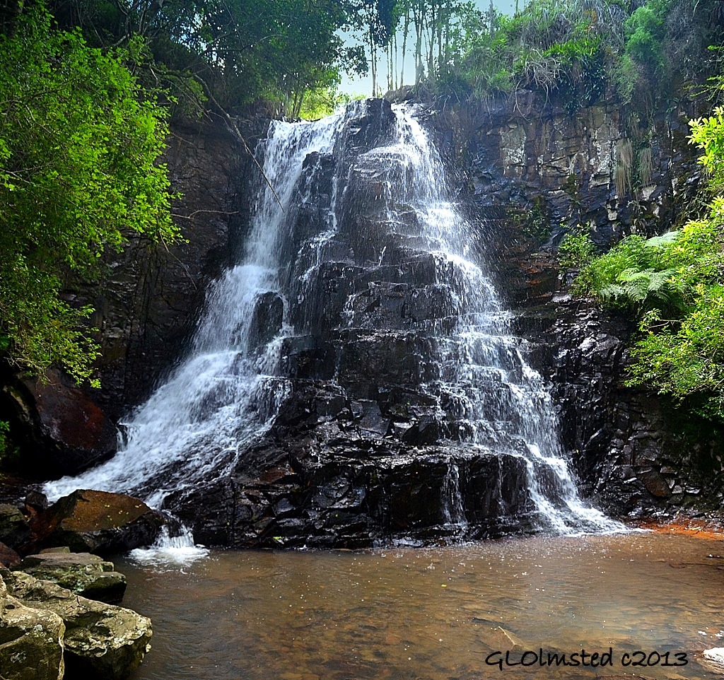 39 Steps Waterfall Hogsback Arboretum Hogsback South Africa