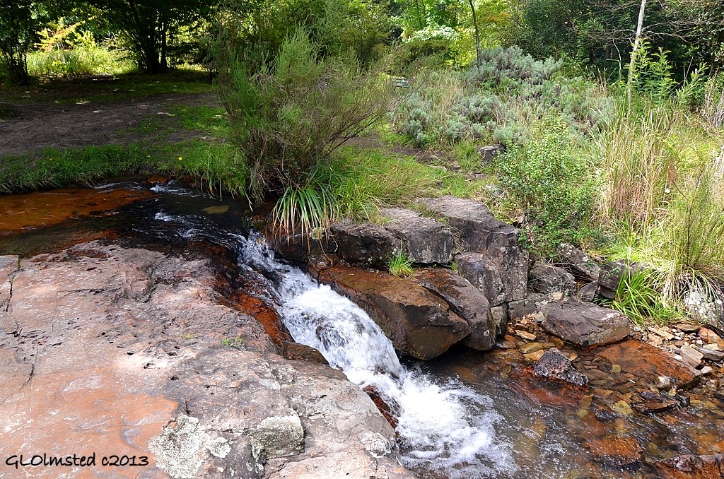 Lower waterfall Hogsback Arboretum Hogsback South Africa