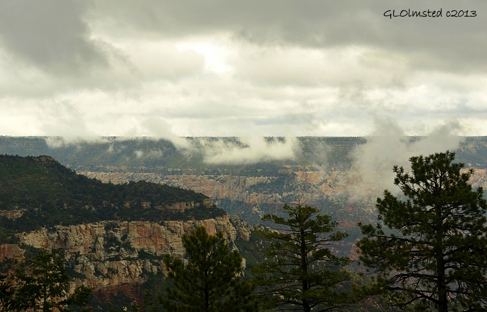 Monsoon clouds in Roaring Springs Canyon North Rim Grand Canyon National Park Arizona