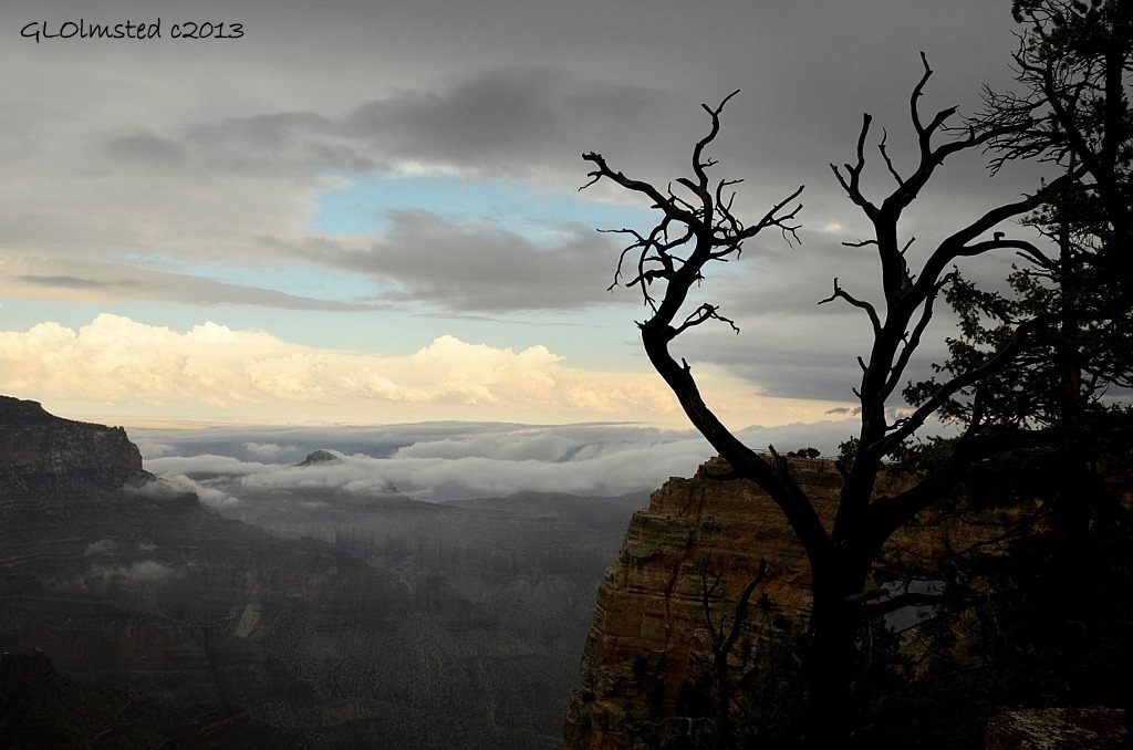 Monsoon clouds in canyon from Cape Royal trail North Rim Grand Canyon National Park Arizona