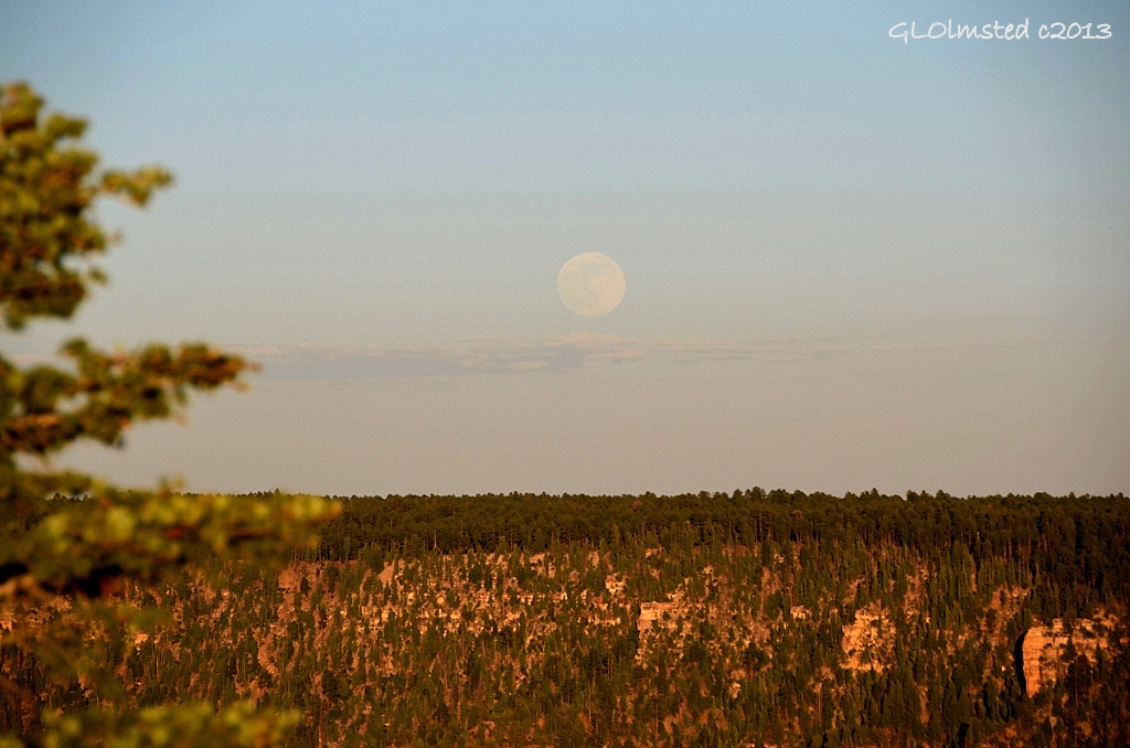 Full moon rise over Walhalla Plateau from BAP trailhead North Rim Grand Canyon National Park Arizona