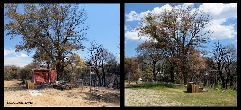 Burnt yard comparison Yarnell Arizona