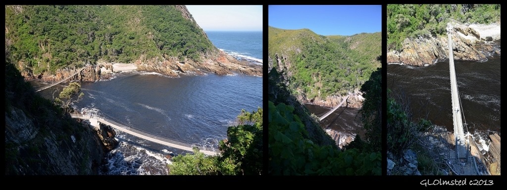 Suspension bridges looking down Storms River Mouth Tsitsikamma National Park South Africa