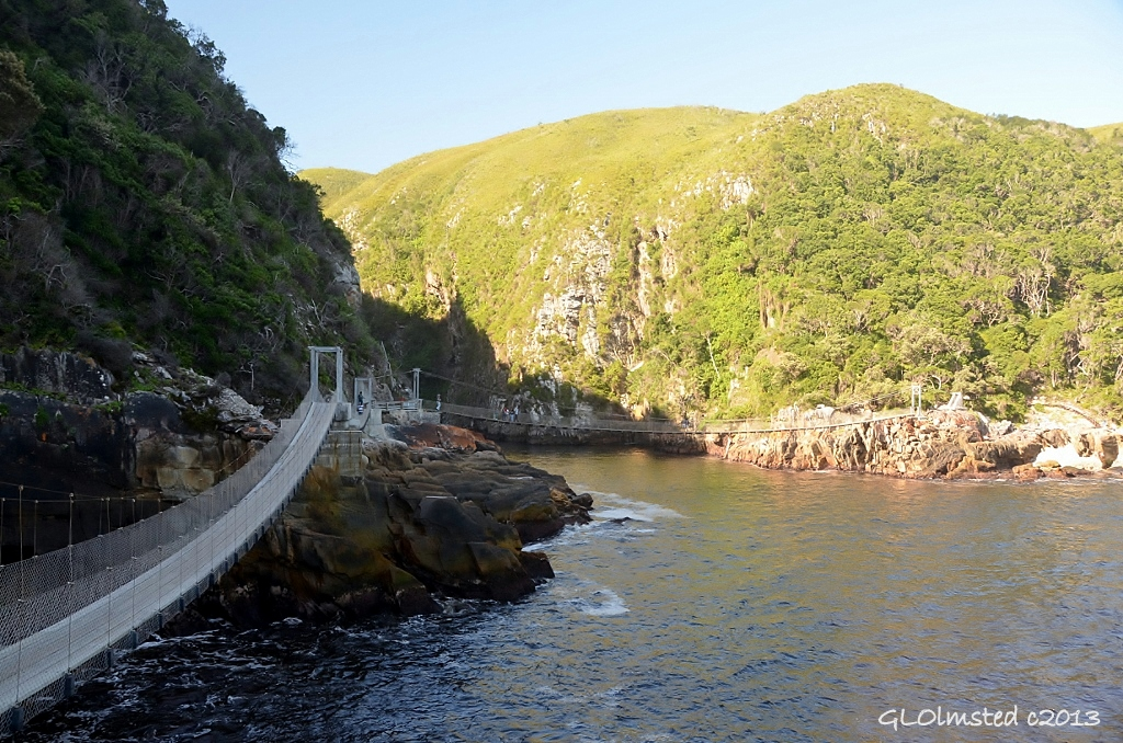  Looking back at bridges from on Suspension Bridge trail at Storms River Mouth Tsitsikamma National Park South Africa