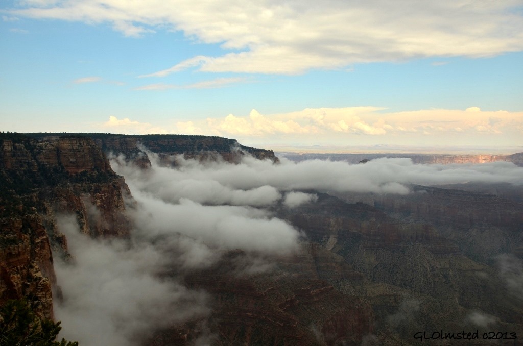 Fog in canyon North Rim Grand Canyon National Park Arizona