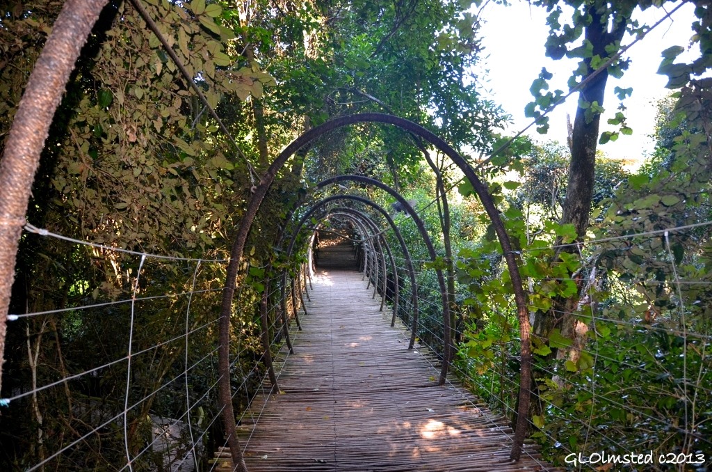 Suspension bridge at Birds of Eden Plattenberg Bay South Africa