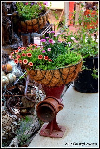 Yard art & flowers at Berta's Yarnell Arizona