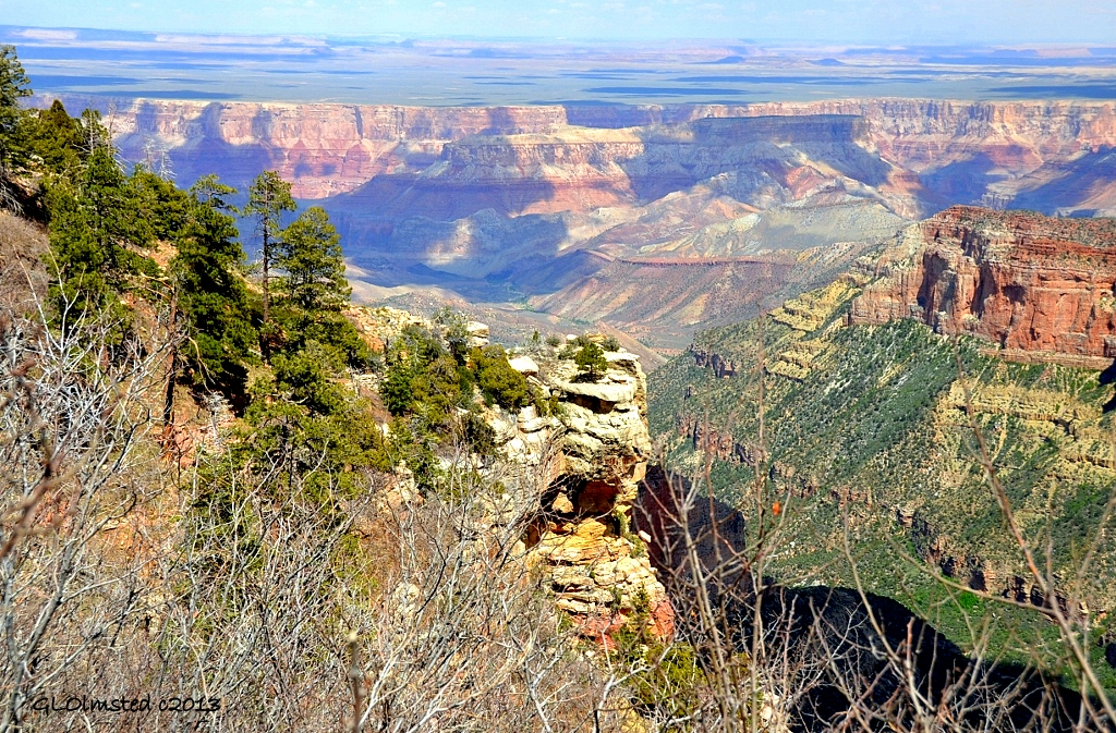 View E from Upper Ken Patrick trail North Rim Grand Canyon National Park Arizona