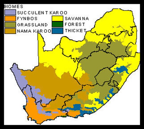 map of biomes in South Africa