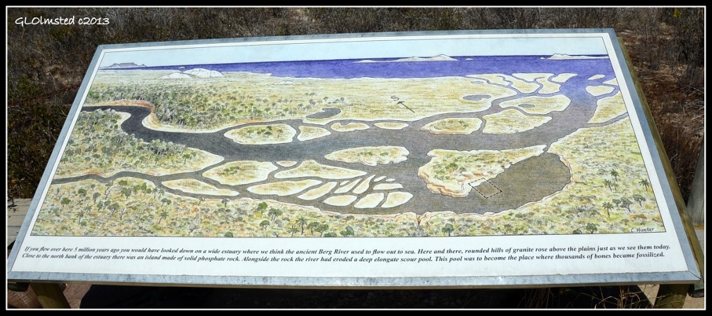 Illustration of 5 million year ago landscape sign Fossil Park Langebaan South Africa